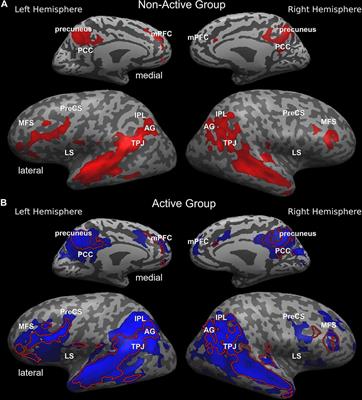 Neural Synchrony During Naturalistic Information Processing Is Associated With Aerobically Active Lifestyle and Cardiorespiratory Fitness in Cognitively Intact Older Adults